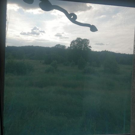 Ostoja Διαμέρισμα Białowieża Εξωτερικό φωτογραφία