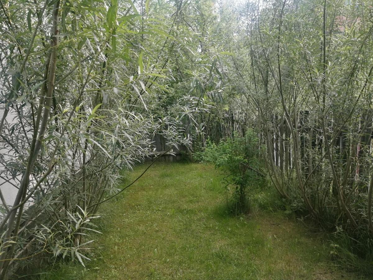 Ostoja Διαμέρισμα Białowieża Εξωτερικό φωτογραφία