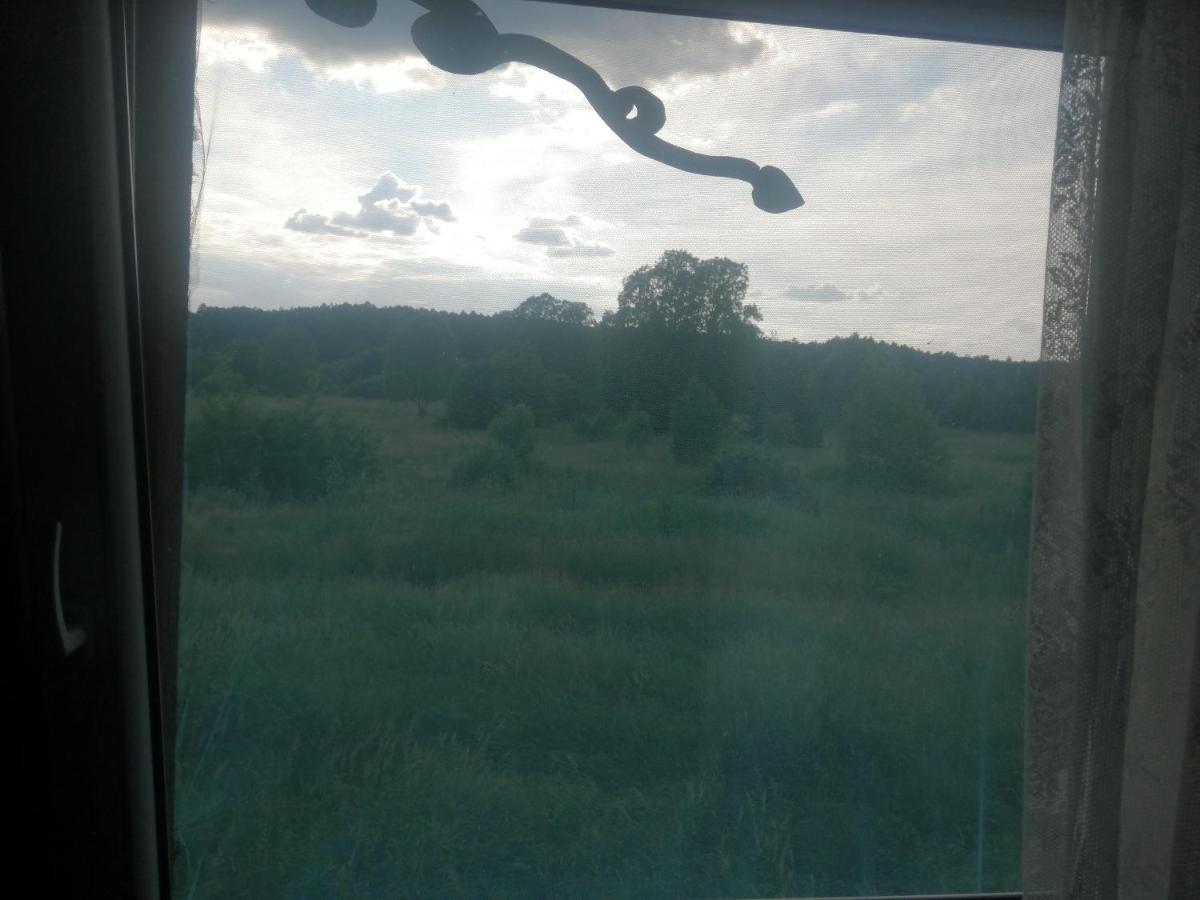 Ostoja Διαμέρισμα Białowieża Εξωτερικό φωτογραφία