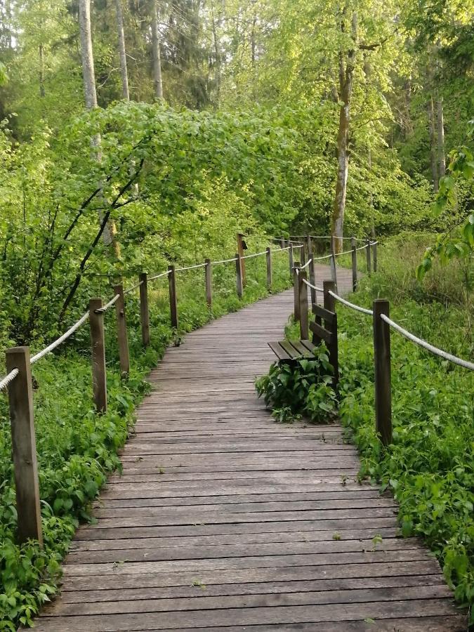 Ostoja Διαμέρισμα Białowieża Εξωτερικό φωτογραφία