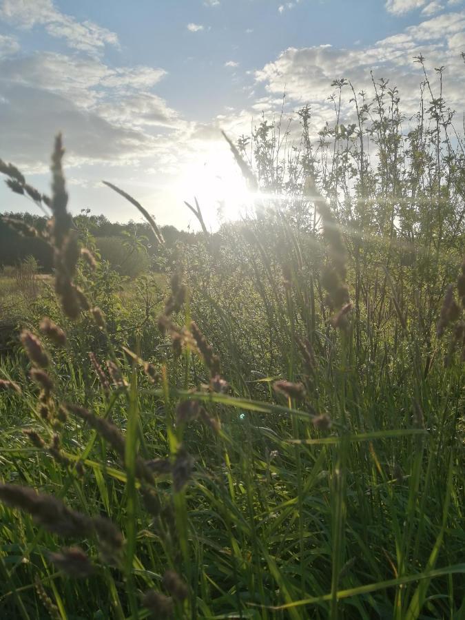 Ostoja Διαμέρισμα Białowieża Εξωτερικό φωτογραφία
