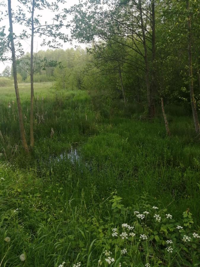 Ostoja Διαμέρισμα Białowieża Εξωτερικό φωτογραφία