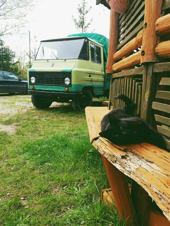 Ostoja Διαμέρισμα Białowieża Εξωτερικό φωτογραφία