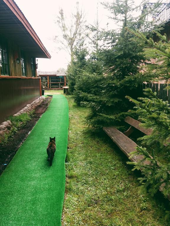 Ostoja Διαμέρισμα Białowieża Εξωτερικό φωτογραφία